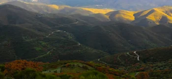 Η Αμανή δεν τελείωσε, θα θέλατε πολύ να την είχατε τελειώσει