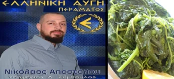 Χρυσαυγίτικα καρφώματα: «Αυτός είναι πιο βλάκας κι απ’ τα βλήτα!»