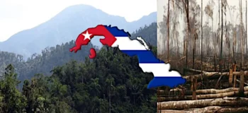Η Κούβα τριπλασίασε τα δάση της ενώ η Ελλάδα φλέγεται