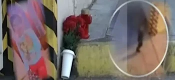 Εμείς και το κτήνος