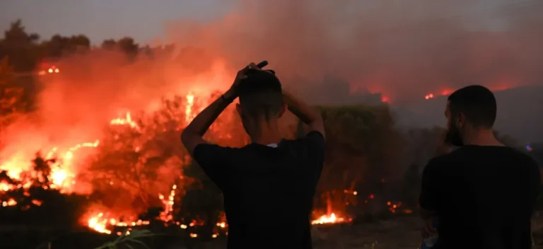Γίναμε μάρτυρες του «μοιράζω φύκια…»