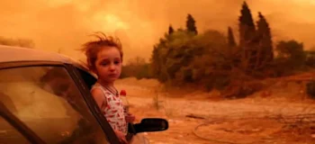 Η κυβέρνηση κερδίζει από τις φωτιές περισσότερα απ' όσα δαπανά