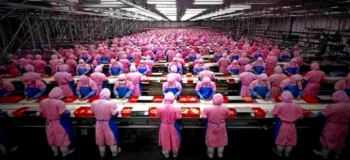 Η σύγχρονη εργατική τάξη και το κίνημά της