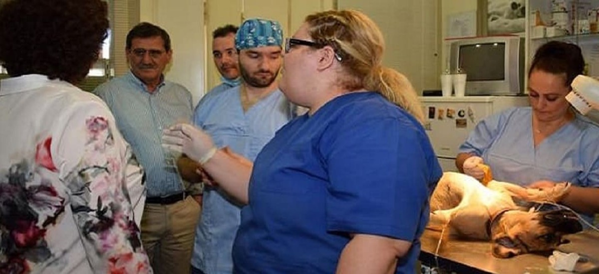 Κατασκευή Δημοτικού Κτηνιατρείου δρομολογεί ο Πελετίδης