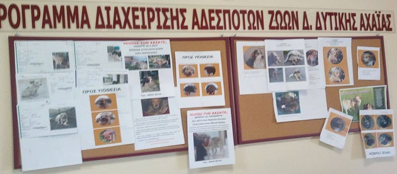Κατασκευή Δημοτικού Κτηνιατρείου δρομολογεί ο Πελετίδης