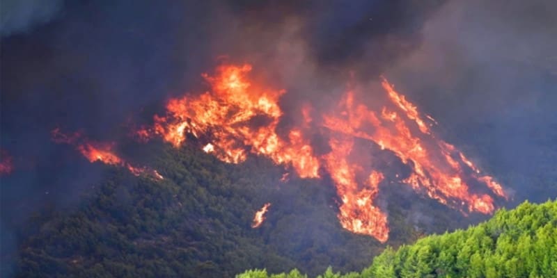 Δέκα αβάσταχτα κλισέ που λένε οι κυβερνήσεις για τις φωτιές