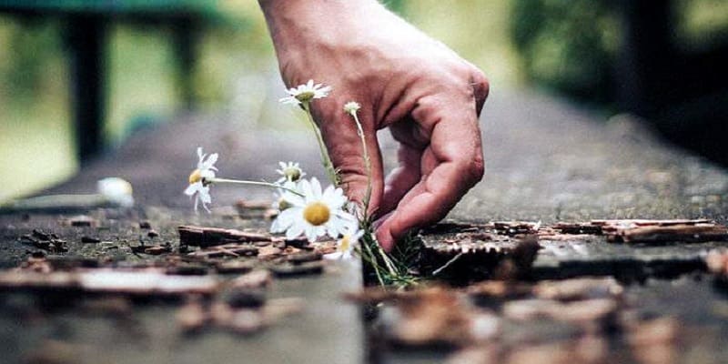 «Ανθρωποι συγχωρήστε τον, γιατί δεν ξέρει τι κάνει»