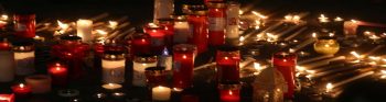 Διορισμοί πυρόπληκτων μόνο αν παραιτηθούν από αποζημιώσεις
