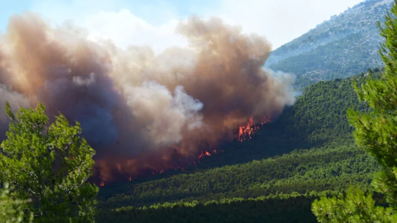 Εικόνες αποκάλυψης στο Πόρτο Γερμενό