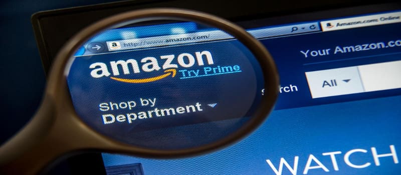 Η «Amazon» χρηματοδοτεί αντιεμβολιαστικές οργανώσεις