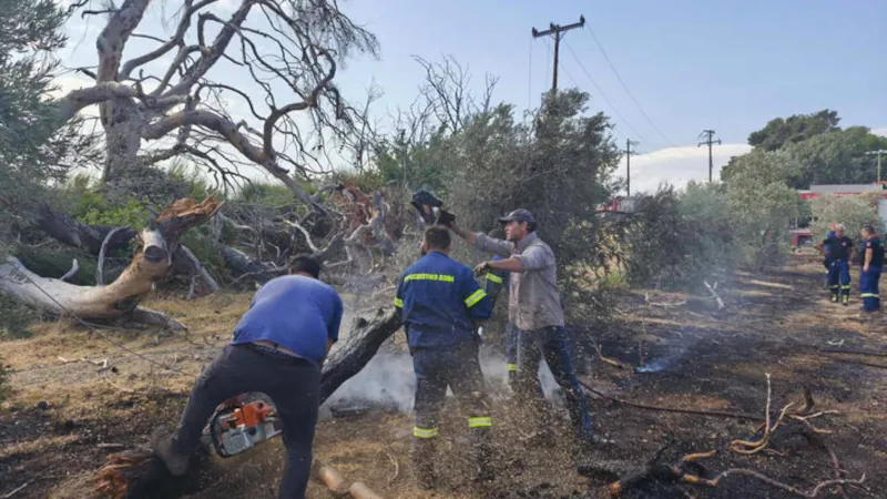 Νεκρός στην Κερατέα: Καίγονται σπίτια και καλλιέργειες