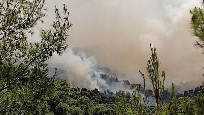 Τι γύρευε εκεί το δάσος τέτοια εποχή;