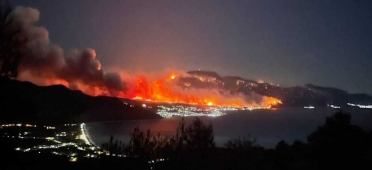 Τι γύρευε εκεί το δάσος τέτοια εποχή;
